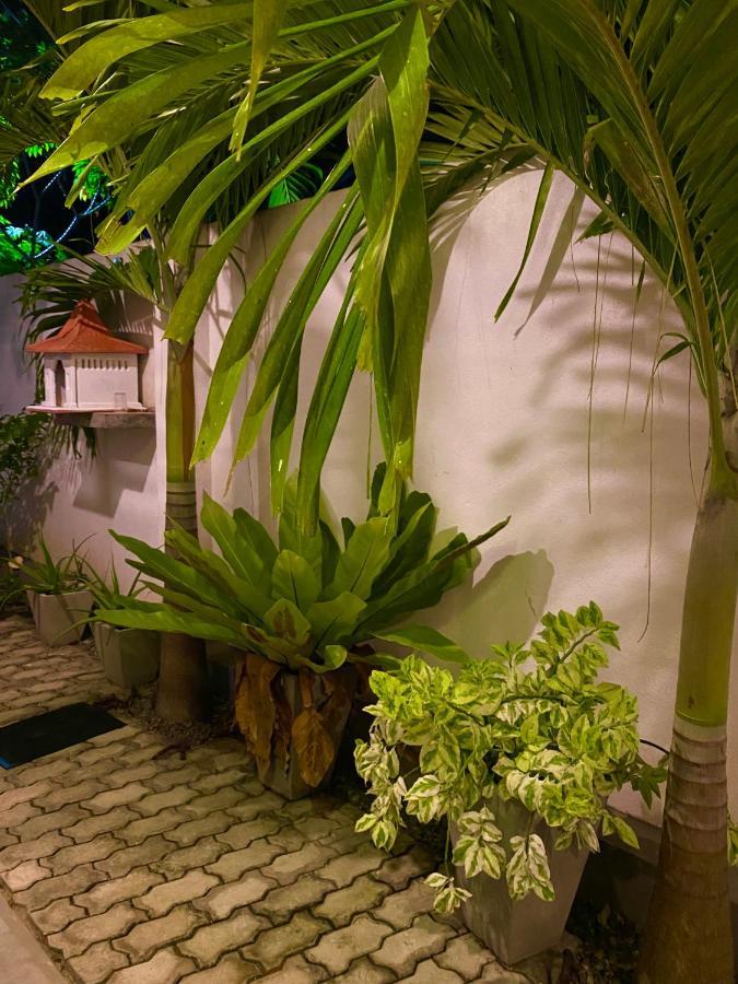 Guesthouse Bodensee Hikkaduwa Eksteriør bilde